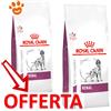 Royal Canin Dog Veterinary Diet Renal - Offerta [PREZZO A CONFEZIONE] Quantità Minima 2, Sacco Da 7 Kg