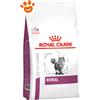 Royal Canin Cat Veterinary Diet Renal - Sacco da 400 Gr