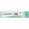 BOIRON Srl Colibacillinum 200 ch Boiron Granuli 4g