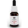 BUSH BIOTHERAPIES Pty Ltd Sturt Desert Pea Australian Bush Flower Essences 15ml