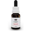 BUSH BIOTHERAPIES Pty Ltd Monga Waratah Australian Bush Flower Essences 15ml