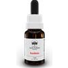 BUSH BIOTHERAPIES Pty Ltd Bauhinia Australian Bush Flower Essences 15ml