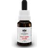 BUSH BIOTHERAPIES Pty Ltd Green Spider Orchid Australian Bush Flower Essences 15ml