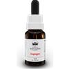 BUSH BIOTHERAPIES Pty Ltd Isopogon Australian Bush Flower Essences 15ml