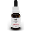 BUSH BIOTHERAPIES Pty Ltd Kangaroo Paw Australian Bush Flower Essences 15ml