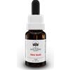 BUSH BIOTHERAPIES Pty Ltd Mint Bush Australian Bush Flower Essences 15ml