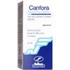 NEW FA.DEM. Srl Canfora NEW.FA.DEM. 10% Soluzione Oleosa 100ml