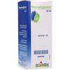 BOIRON Srl Rosmarinus Officinalis Gemme MG Boiron 60ml