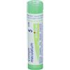 BOIRON Srl Conium Maculatum 5CH Boiron 80 Granuli
