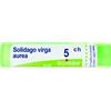 BOIRON Srl Solidago Virga Aurea 5CH Boiron Granuli 4g