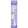 BOIRON Srl Calendula Officinalis 30CH Boiron 80 Granuli