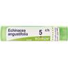 BOIRON Srl Echinacea Angustifolia 5CH Boiron 80 Granuli