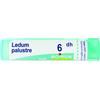 BOIRON Srl Ledum Palustre 6DH Boiron 80 Granuli