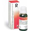 DR.RECKEWEG & CO. GmbH Dr. Reckeweg R51 Rimedio Omeopatico In Gocce 22ml