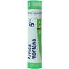 BOIRON Srl Arnica Montana 5CH Boiron 80 Granuli