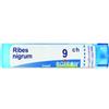 BOIRON Srl Ribes Nigrum 9CH Boiron Granuli 4g