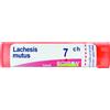 BOIRON Srl Lachesis Mutus 7CH Boiron 80 Granuli