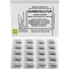 OTI Srl Dermosulfur OTI 60 Capsule
