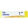 BOIRON Srl Calcarea Carbonica 1MK Boiron 80 Granuli