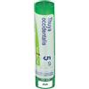 BOIRON Srl Thuya Occidentalis 5CH Boiron Globuli 1g
