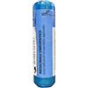 OTI Srl Psorinum 10mk Oti Globuli