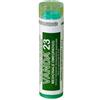 VANDA OMEOPATICI Srl Vanda 23 Complemento Alimentare Omeopatico 4g 80g
