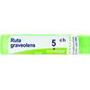 BOIRON Srl Ruta Graveolens 5CH Boiron Granuli 4g