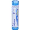 BOIRON Srl Ruta Graveolens 9CH Boiron 80 Granuli