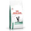 ROYAL CANIN DIABETIC SECCO GATTO KG 1.5