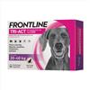 Frontline Tri Act - Soluzione Spot On Insetticida Acaricida Cane 20-40Kg, 3Pezzi