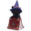 Nemesis Now Hocus U5231S0 - Piccola Statuetta con Gatto Nero familiare e Libro degli incantesimi, Rosso, 12,7 cm