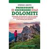 Newton Compton Editori Passeggiate ed escursioni sulle Dolomiti. Itinerari mozzafiato per scoprire le montagne più sorprendenti e più belle del mondo