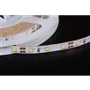 SMD2835 5m 60w 300 LED STRIP STRISCIA BIANCO FREDDO 5500K 12w/m C1B4