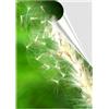 Adesivi formato A4 in PVC per esterno pellicola trasparente 100 pezzi
