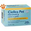 NBF Lanes Dog e Cat Ciellea Pet - Confezione da 60 Perle