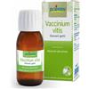 Boiron VACCINIUM VITIS MACERATO GLICERICO 60 ML INT