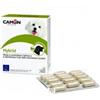 Camon Hybrid Integratore per ghiandole lacrimali e salivari cani e gatti 30 compresse
