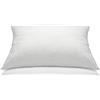Italian Bed Linen Guanciale in Memory con Fodera Aloe, Bianco, 42x72x15cm