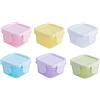 Ziranee Mini Contenitori per Alimenti per Bambini,6 PCS Plastica Contenitori per Freezer con Coperchi Contenitori per Alimenti per Bambini per Bambini Alimenti Microonde 60ML