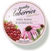 EUROSPITAL SPA Anberries Pastilles Ribes Rosso & Echinacea Gola E Voce 55g
