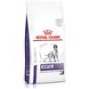 Royal Canin Expert Dental Medium & Large Dogs per cane 13 kg