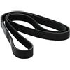 DAYCO 6PK1520 CINGHIA POLY-V COM.ALT.+SERVOST. VW LUPO | Compatibile con: FORD C-MAX, FOCUS C-MAX, FOCUS II, FOCUS II Stufenheck, FOCUS II Turnier, GALAXY II, SEAT AROSA