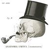 International Graphics - Immagine finita - Sue, Schlabach - ''Dandy Bones II''- 30 x 30 cm - Stampa diretta su acrilico