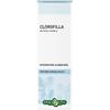 ERBA VITA GROUP SPA CLOROFILLA SOL IAL 50ML