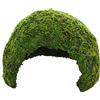 Hobby 34600 Jungle Cave 1, 74 g