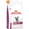 Royal Canin Cat Veterinary Diet Renal Select - Sacco da 400 Gr