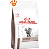 Royal Canin Cat Veterinary Diet Hepatic - Sacco da 2 kg