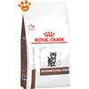 Royal Canin Cat Veterinary Diet Gastrointestinal Kitten - Sacco da 2 kg