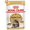 Royal Canin Cat Adult Maine Coon - Confezione da 85 Gr
