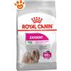 Royal Canin Dog Mini Exigent - Sacco Da 3 Kg